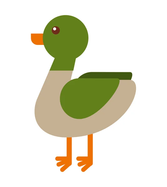 Pato granja aislado icono de diseño — Vector de stock