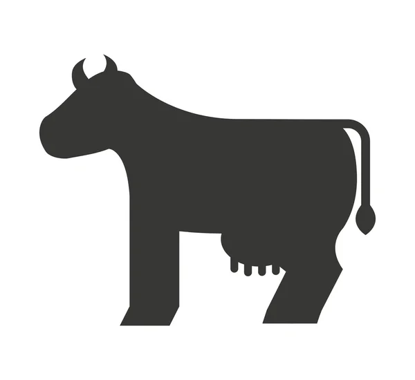 Cow isolated icon design — Stock Vector