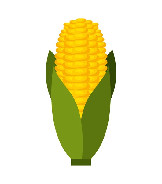 Corn cob isolated icon design — Stock Vector