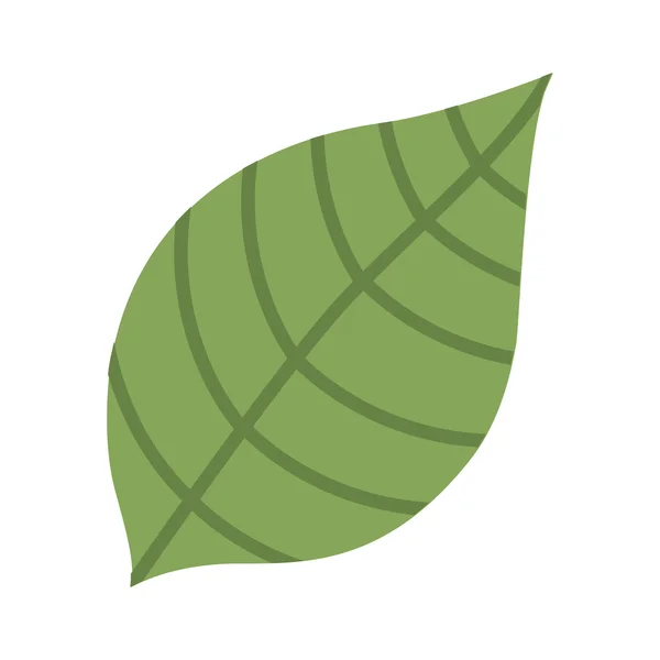 Frunze verde izolat pictogramă design — Vector de stoc