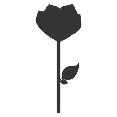 Çiçekler ve onları tasarım Bahçe.