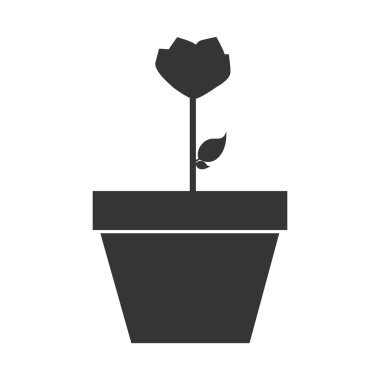 Çiçekler ve onları tasarım Bahçe.