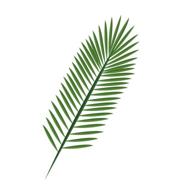 Doğa bitki ve ekoloji grafik tasarım.