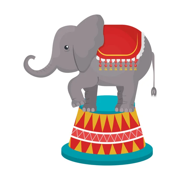 Circus olifant dierlijk beeldverhaal ontwerp, vectorillustratie. — Stockvector