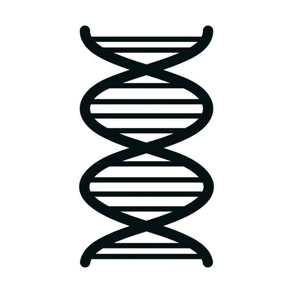 DNA humano isolado ícone plano . —  Vetores de Stock
