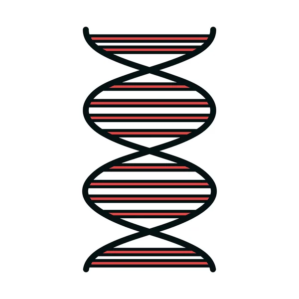 DNA humano isolado ícone plano . —  Vetores de Stock