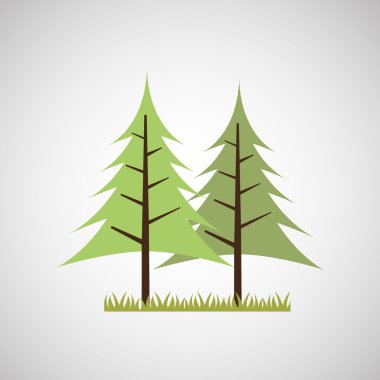 Ağaç ormanı doğası