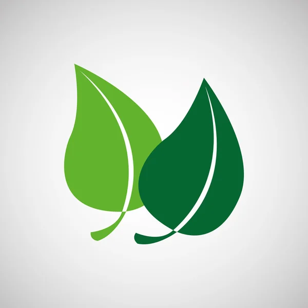 Natura foglia verde ecologia botanica — Vettoriale Stock