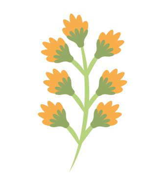 güzel çiçek bahçesi izole simgesi