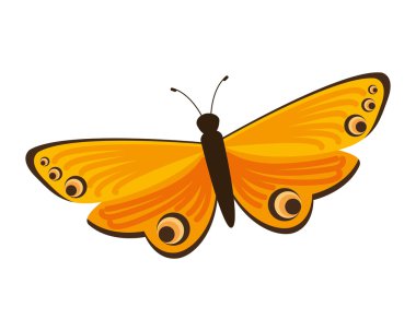 Güzel ve renkli kelebek izole simgesi