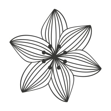 güzel çiçek bahçesi izole simgesi