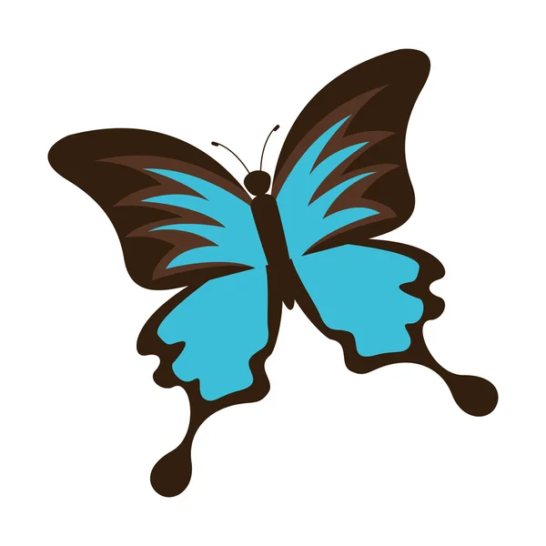 Hermosa y colorida mariposa aislado icono de diseño — Vector de stock