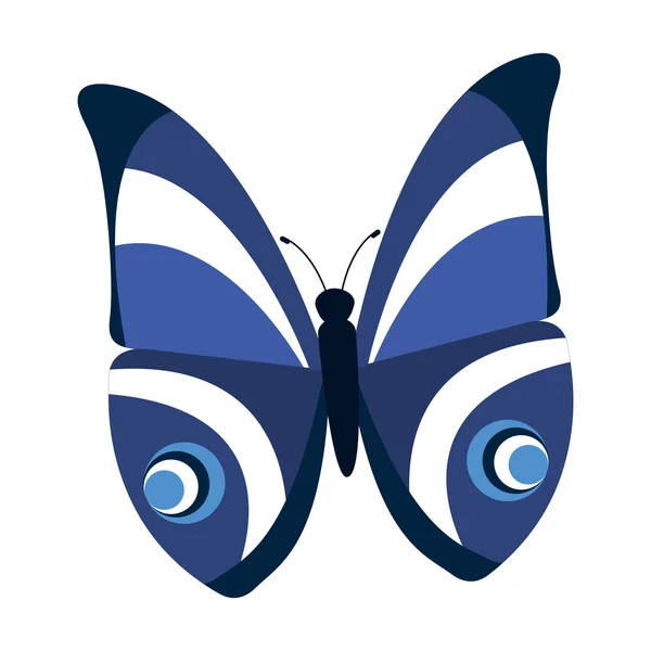 Schöne und bunte Schmetterling isoliert Symbol-Design — Stockvektor