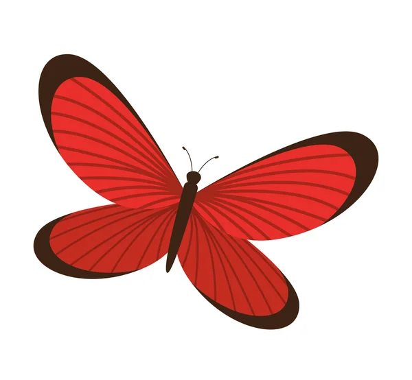 Beau et coloré papillon isolé icône design — Image vectorielle