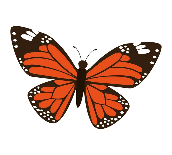 Hermosa y colorida mariposa aislado icono de diseño — Vector de stock