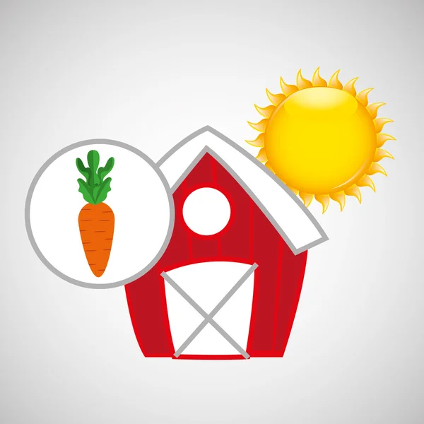 Farm countryside food carrot design — Stock Vector
