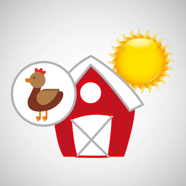 Farm countryside animal chicken design — Stock Vector