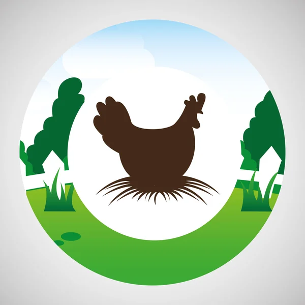 Granja campo animal gallina diseño — Vector de stock