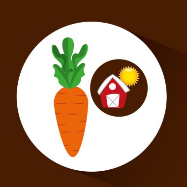 çiftlik kırsal gıda havuç tasarım