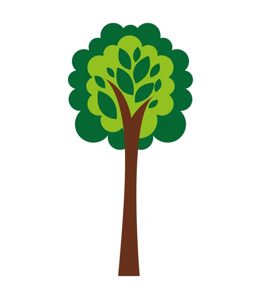 Tree plant eco icon — Stock Vector