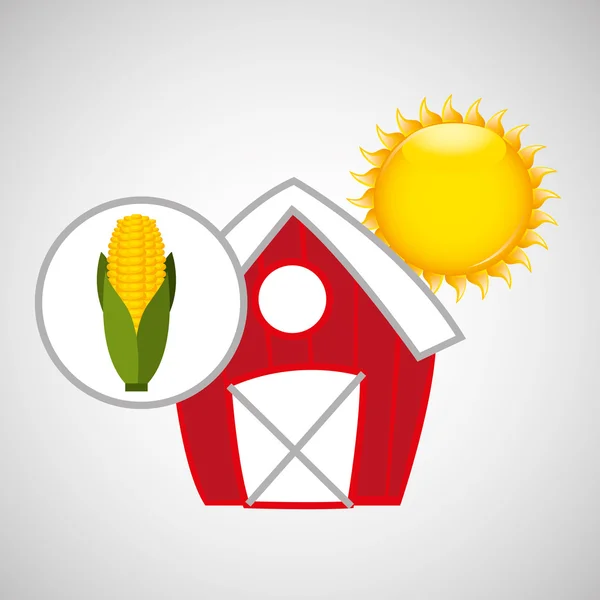Farm countryside food corn design — Stock Vector