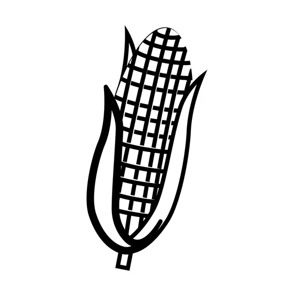 Légumes frais et délicieux, illustration vectorielle . — Image vectorielle