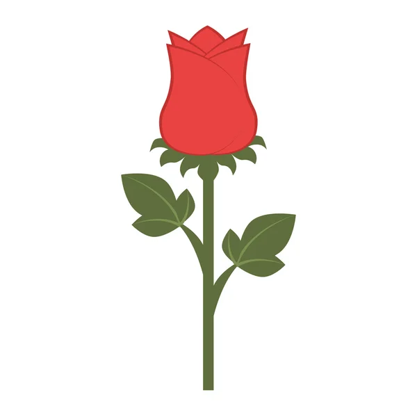 Bloem floral kleurrijke pictogram vectorillustratie. — Stockvector