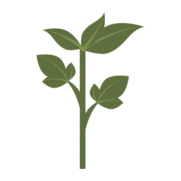 Zöld növény levelek ikon-vektoros illusztráció. — Stock Vector