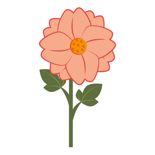 Květinové květinové barevné ikony vektorové ilustrace. — Stockový vektor