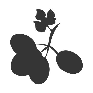 Üzüm meyve simge vektör çizim