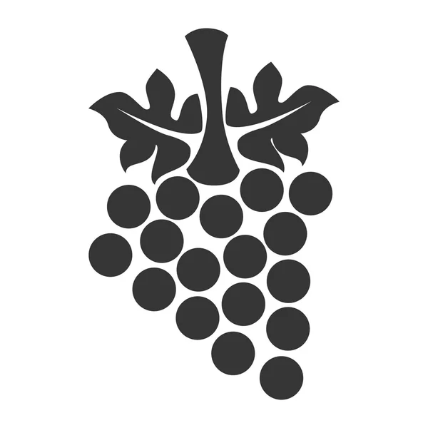 Druiven fruit pictogram vectorillustratie — Stockvector