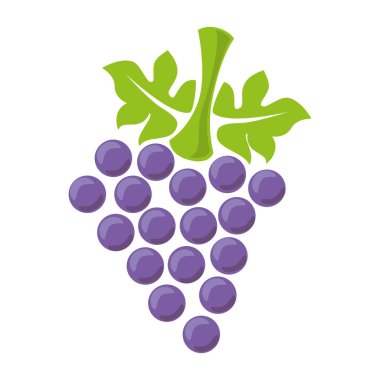 Üzüm meyve simge vektör çizim