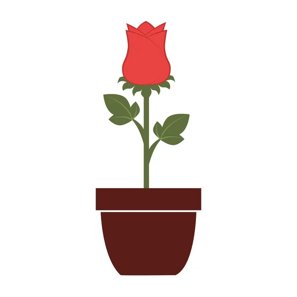 Blomma vas färgglada ikon vektor illustration — Stock vektor