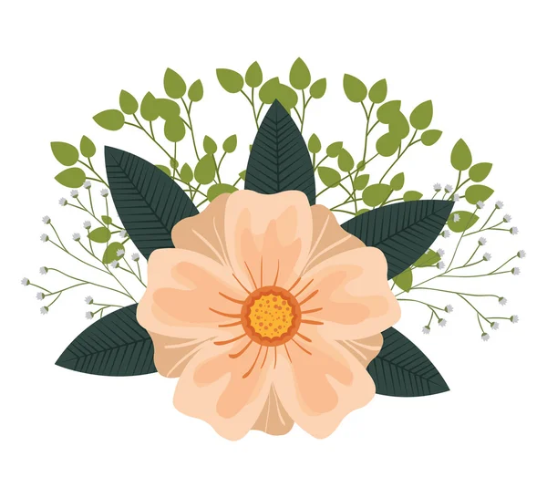 Floral decoration isolated icon design — Stock Vector