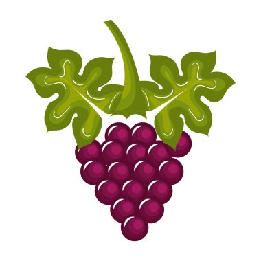 izole simgesi tasarım üzüm asma