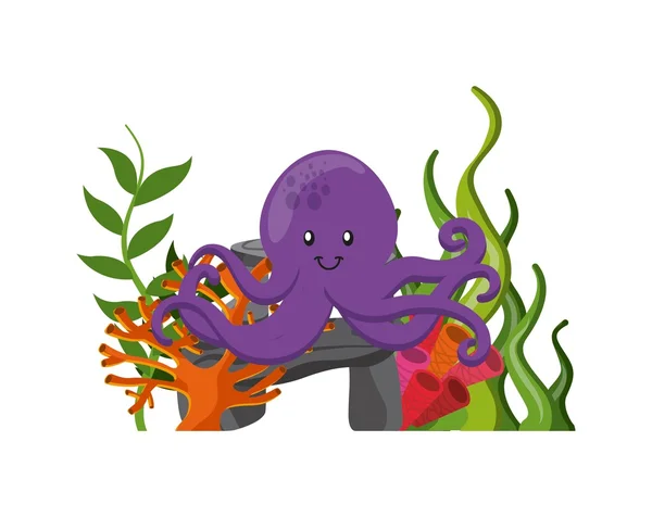 Octupus ikon. Tengeri élet-tervező. — Stock Vector