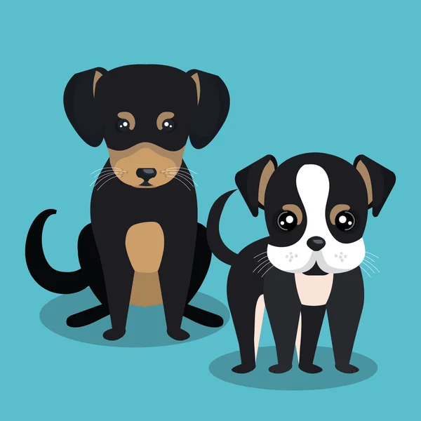 Pareja crianza perros aislado icono diseño — Vector de stock