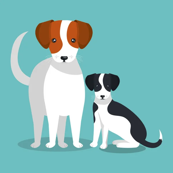 Coppia cani razza isolato icona design — Vettoriale Stock