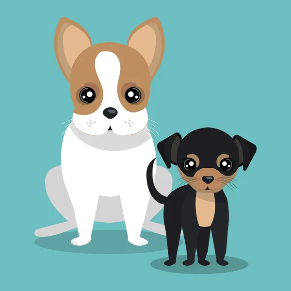 Paar fokken honden geïsoleerde pictogram ontwerp — Stockvector