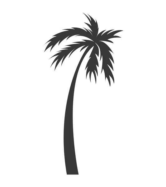 Tree palm silhouette icon — Stock Vector