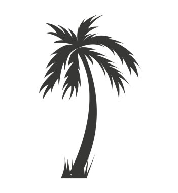 ağaç palm siluet simge