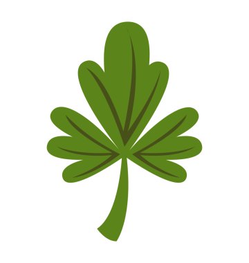 kişniş sebze madde sağlık simgesi