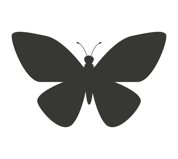 Prachtige vlinder silhoeutte pictogram — Stockvector