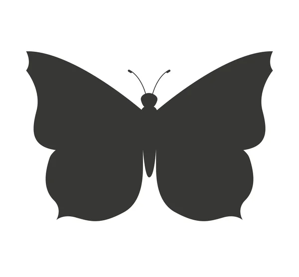 Vackra fjäril silhoeutte ikon — Stock vektor