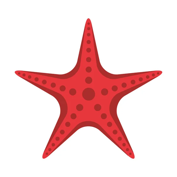 Estrela peixe ícone de praia animal —  Vetores de Stock
