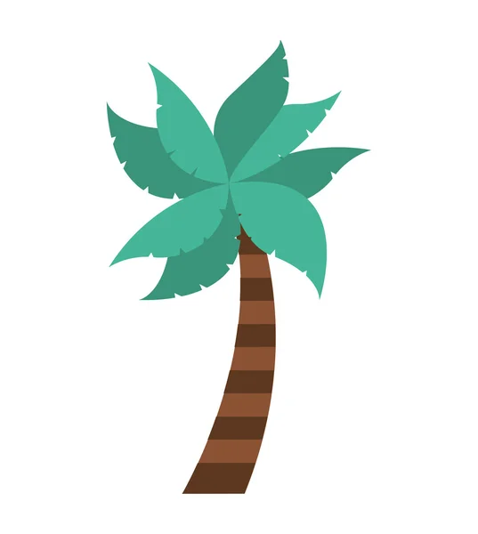 Het pictogram voor het silhouet van palm tree — Stockvector