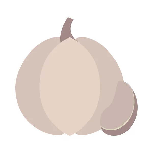 Onion vegetable health icon — Stock Vector