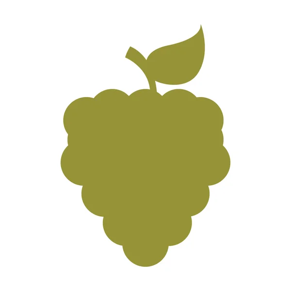 Druiven fruit gezondheid pictogram — Stockvector