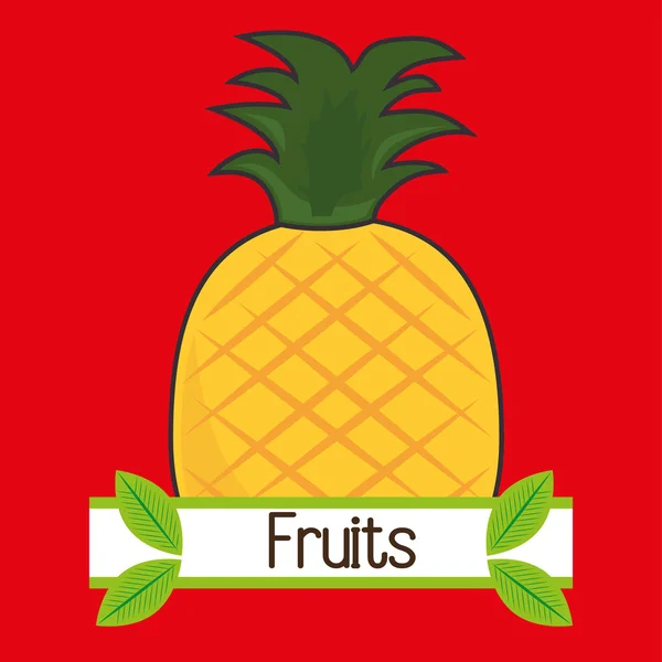 Fruit fresh food icon — Stock Vector