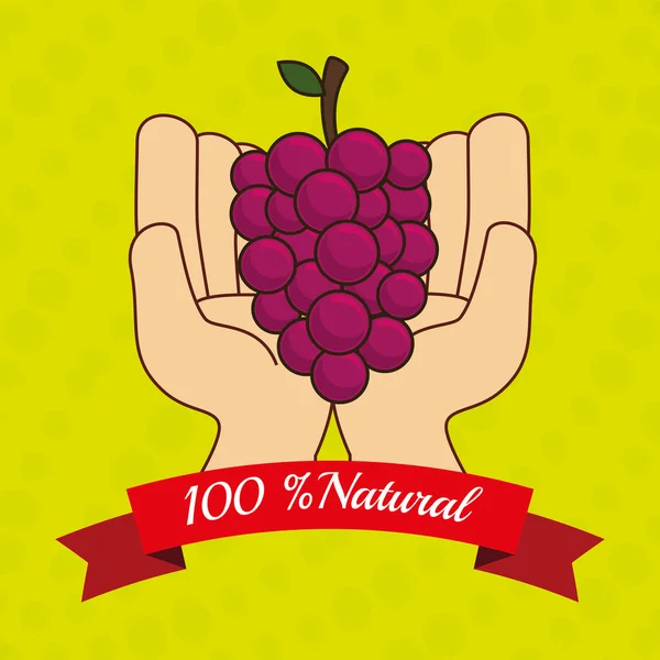 Fruit natural hands food icon — Stock Vector